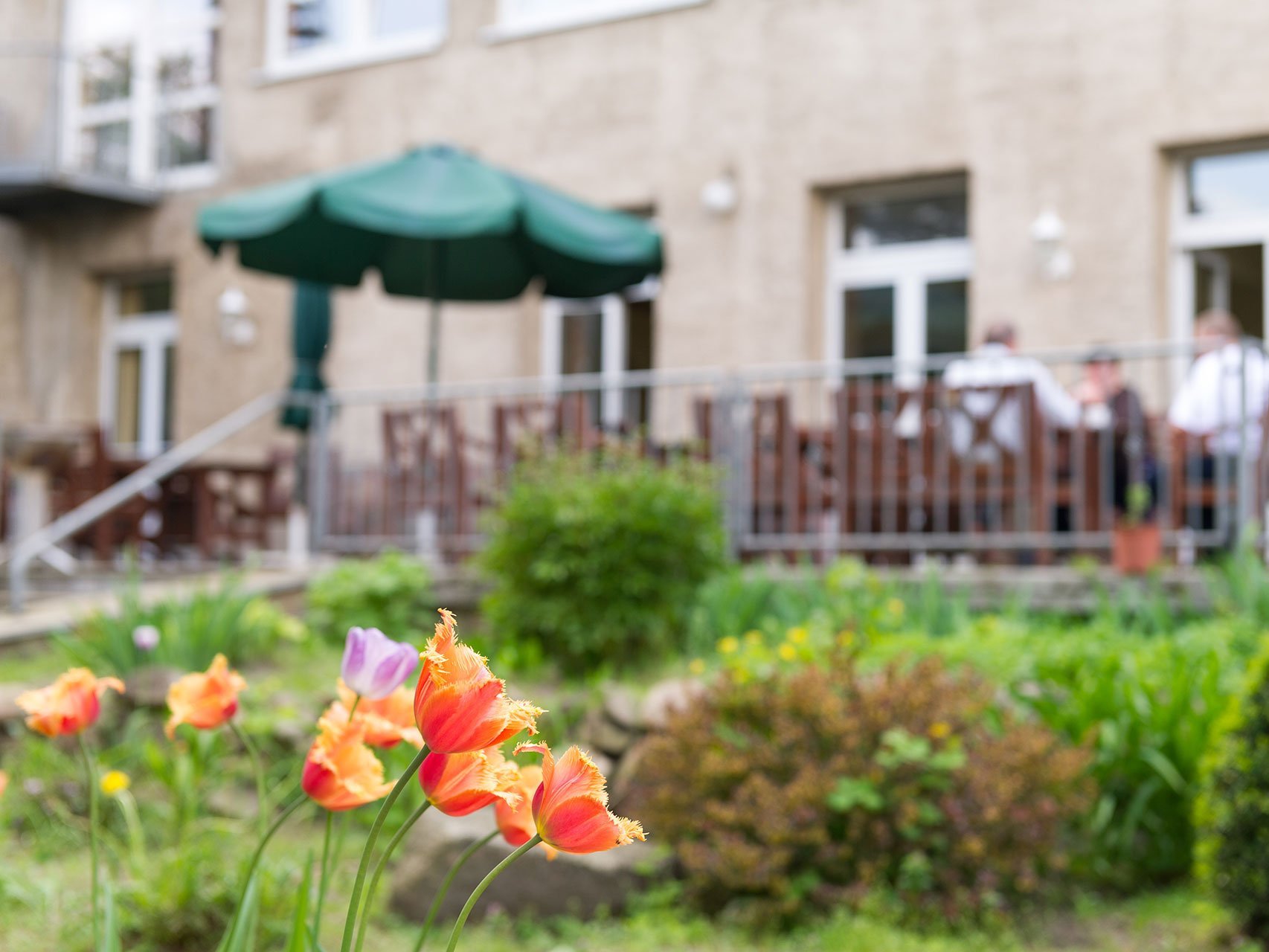 Eine Gruppe Frauen und Männer sitzen zusammen auf der Terasse an einem Tisch - im Vordergrund  orange-rote und lilafarbene Tulpen